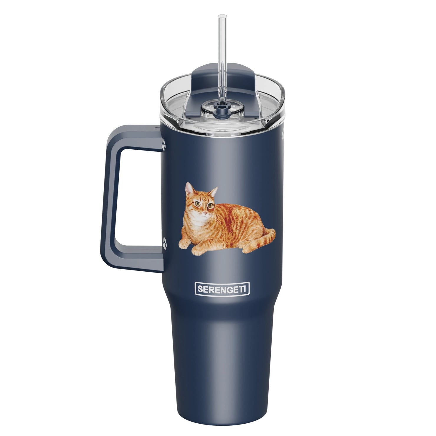 E & S Imports - Tumbler with Handle & Straw Cat Orange Tabby