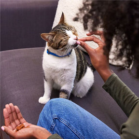 Pedigree - Whiskas Temptations Mixups Catnip Fever - Southern Agriculture 
