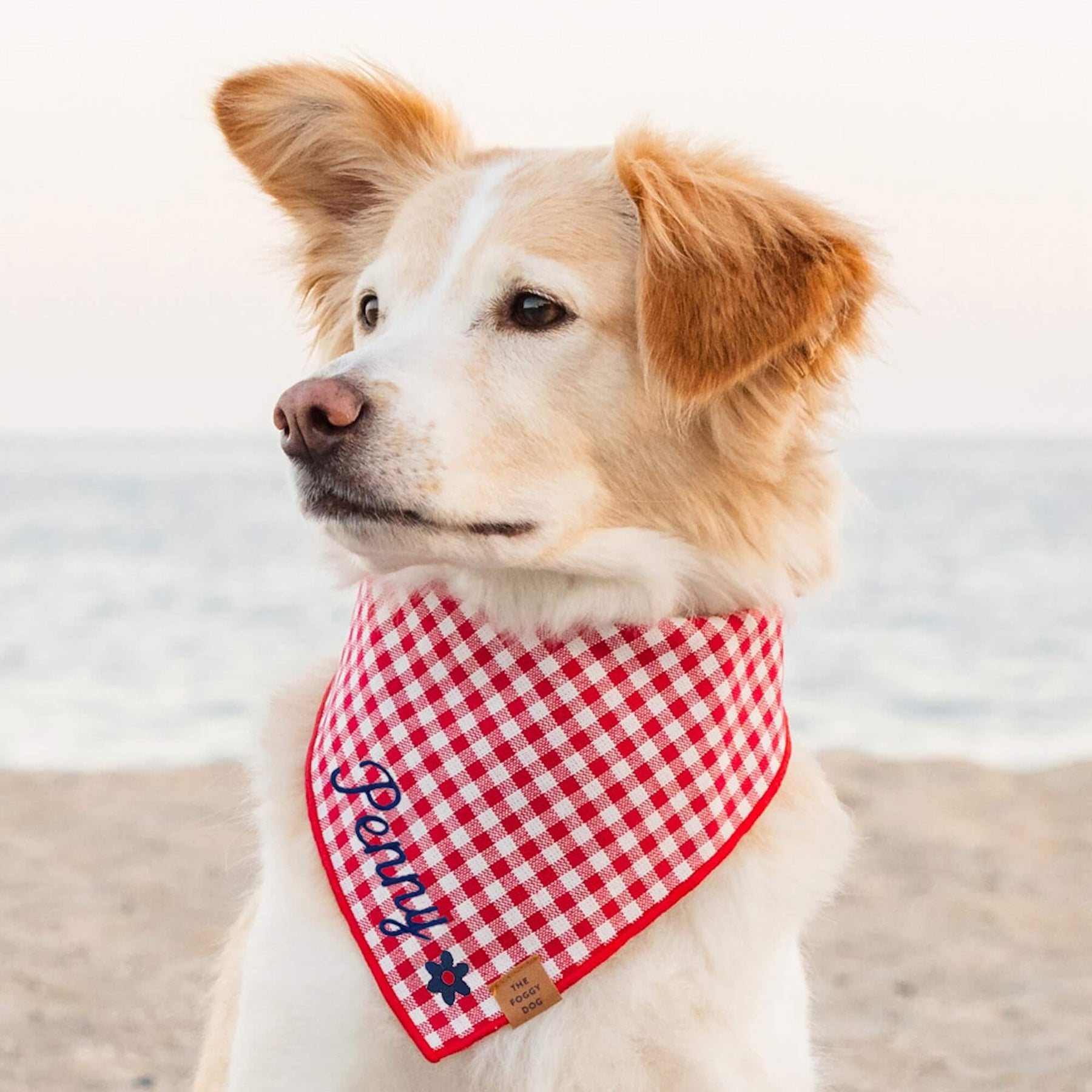 The Foggy Dog - Bandana Dog Red Gingham Summer