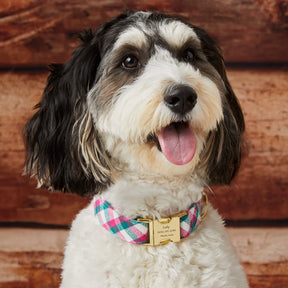 The Foggy Dog - Dog Collar Callie Plaid Flannel
