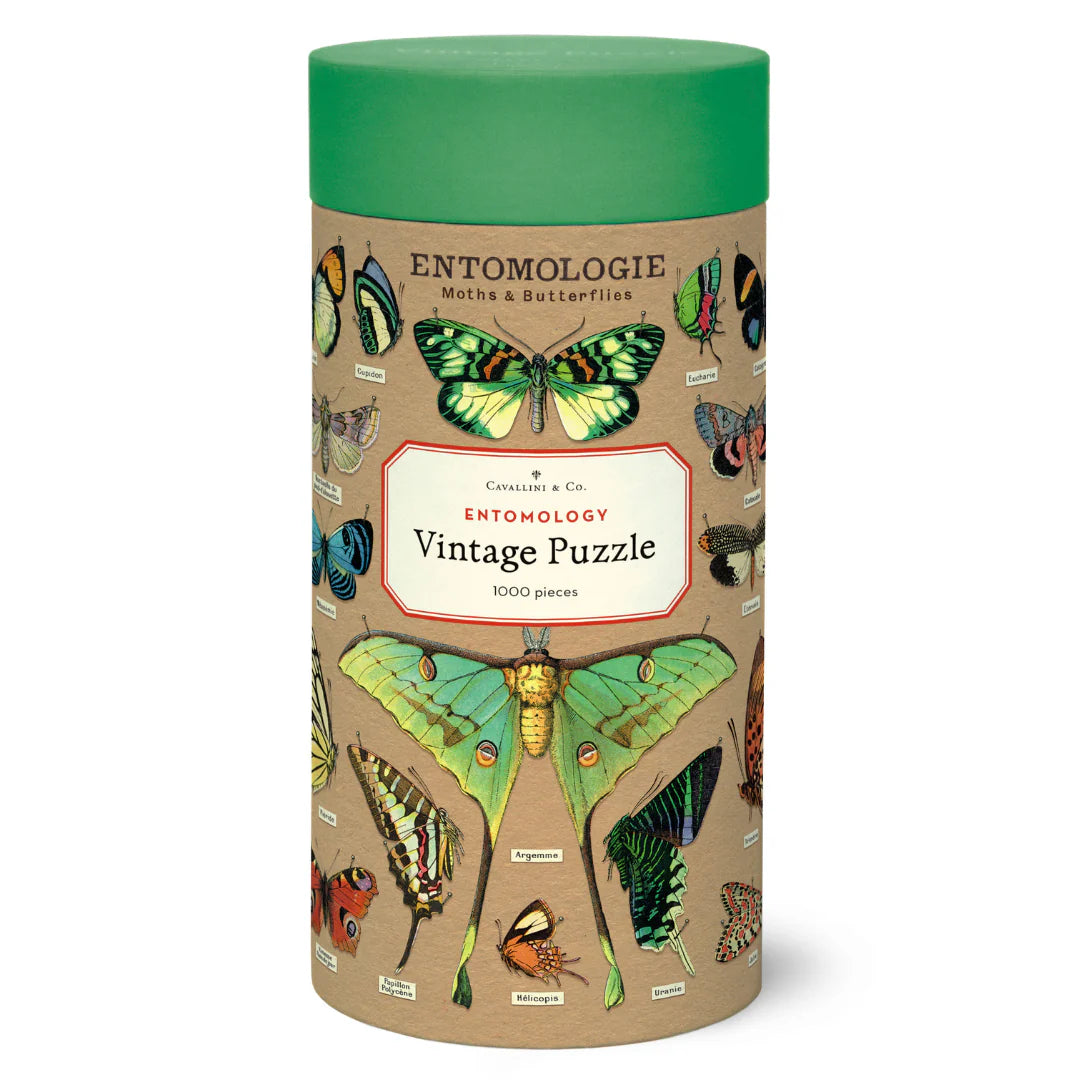 Cavallini & Co. - Puzzle Entomology