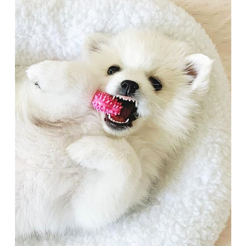Nylabone - Puppy Chew Dental Bone