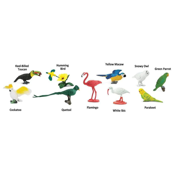 Safari Ltd - Toob Exotic Birds