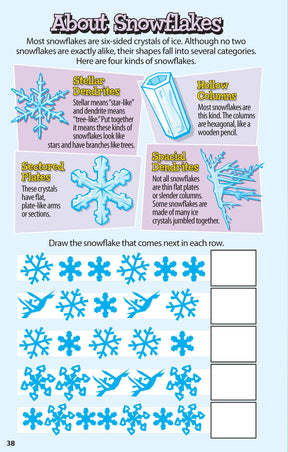 Wellspring- Activity Book - Sensational	Snow Day Puzzles for Kids