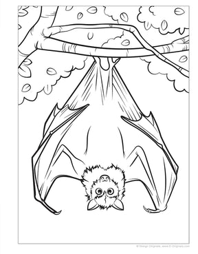 Wellspring- Coloring Book - Great Amazon & Rainforest
