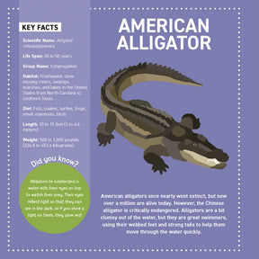 Wellspring- Activity Book - My Sticker Paintings: Reptiles