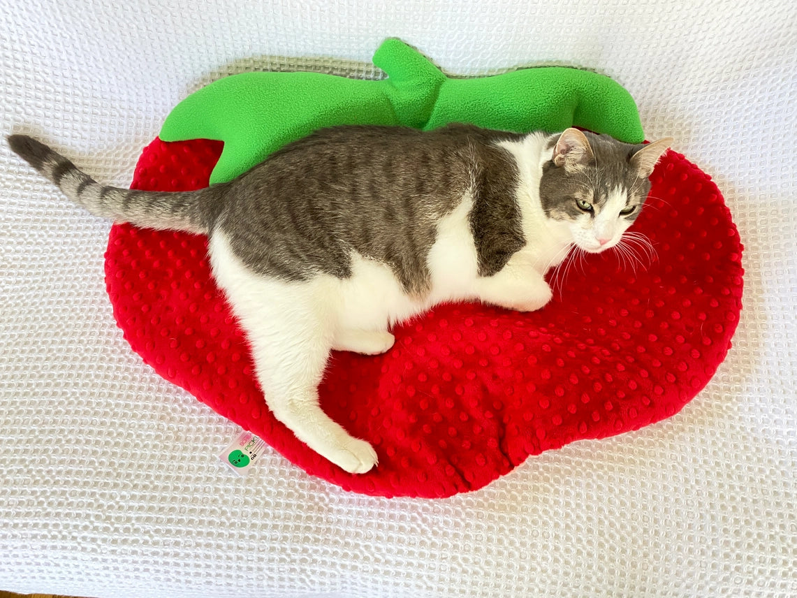 Screaming Pickles - Pet Bed Handmade Strawberry