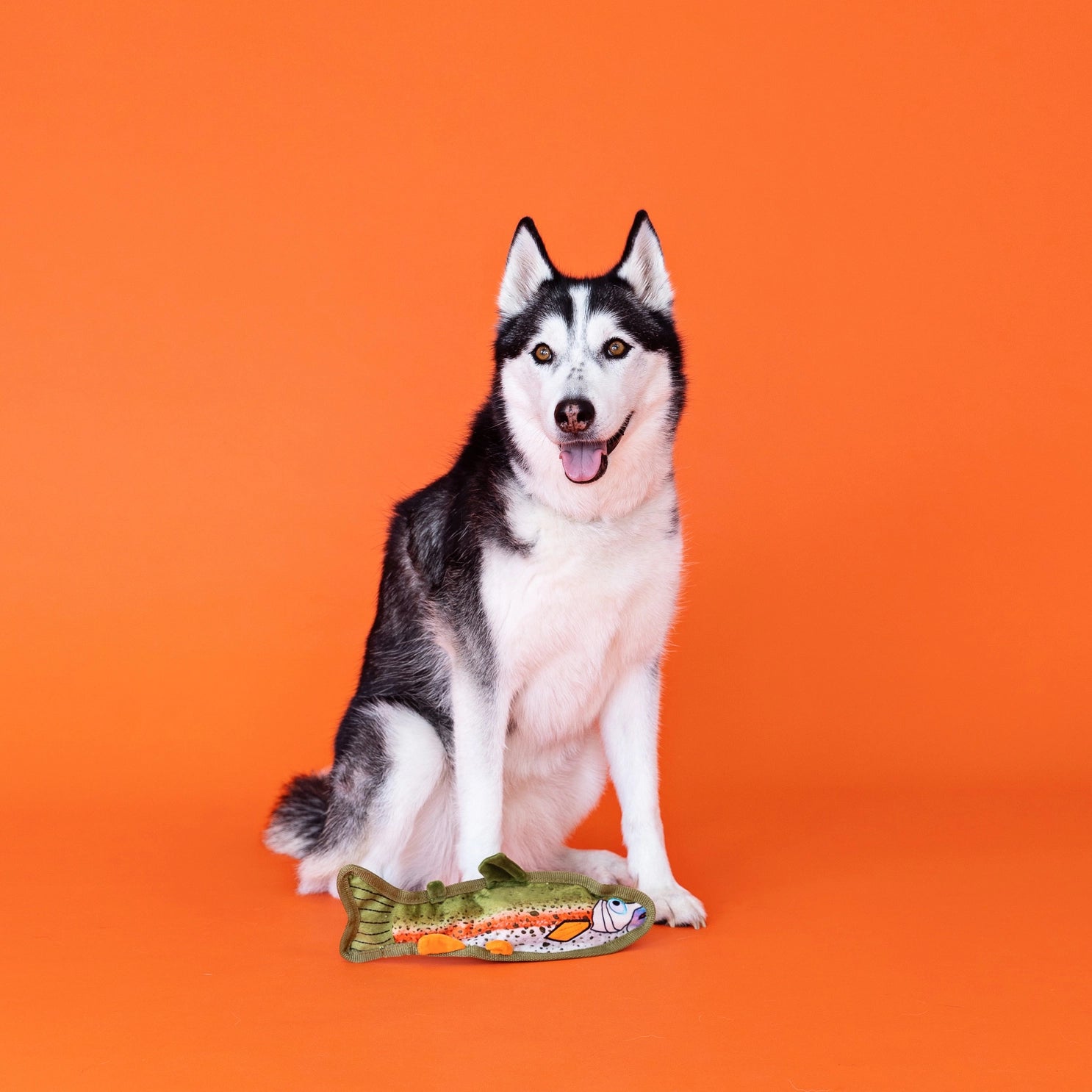 Wagsdale - Dog Toy Durable Catch of the Day - Southern Agriculture 