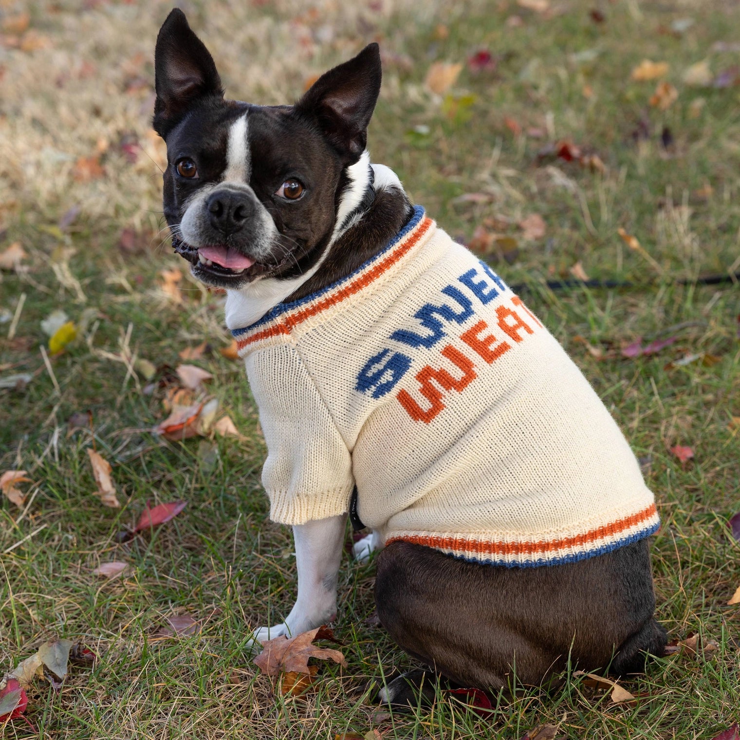 Chronicle-Hachette Book - Dog Sweater Brass Monkey Sweater Weather