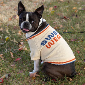 Chronicle-Hachette Book - Dog Sweater Brass Monkey Sweater Weather