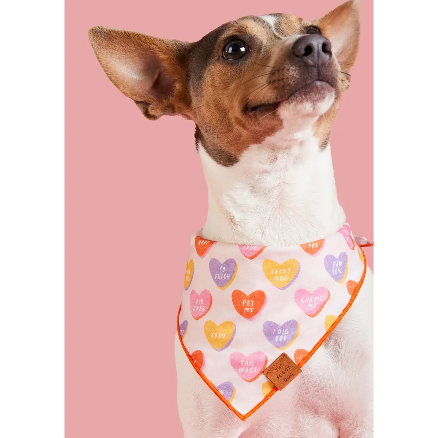 The Foggy Dog - Bandana Dog Candy Hearts