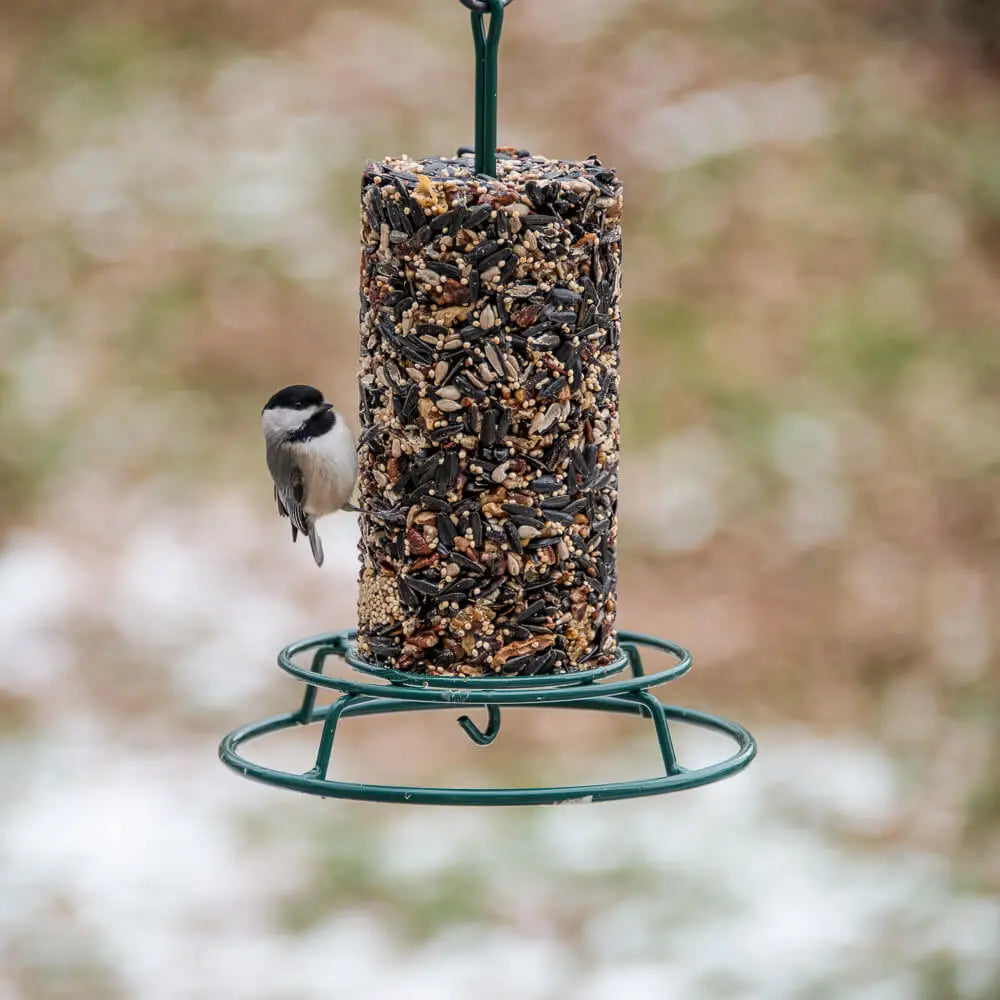 Mr. Bird - Cylinder Wildbird Feast