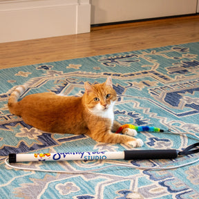 Squishy Face Studio - Cat Excercise Toy