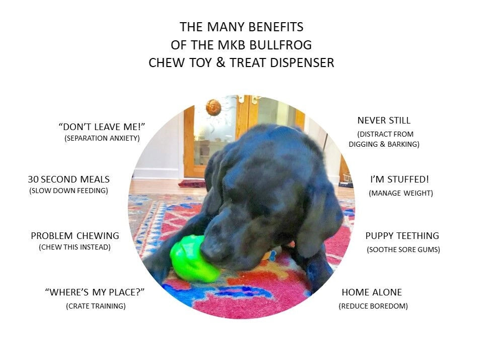 SodaPup - Bull Frog Treat Dispenser & Dog Chew Toy