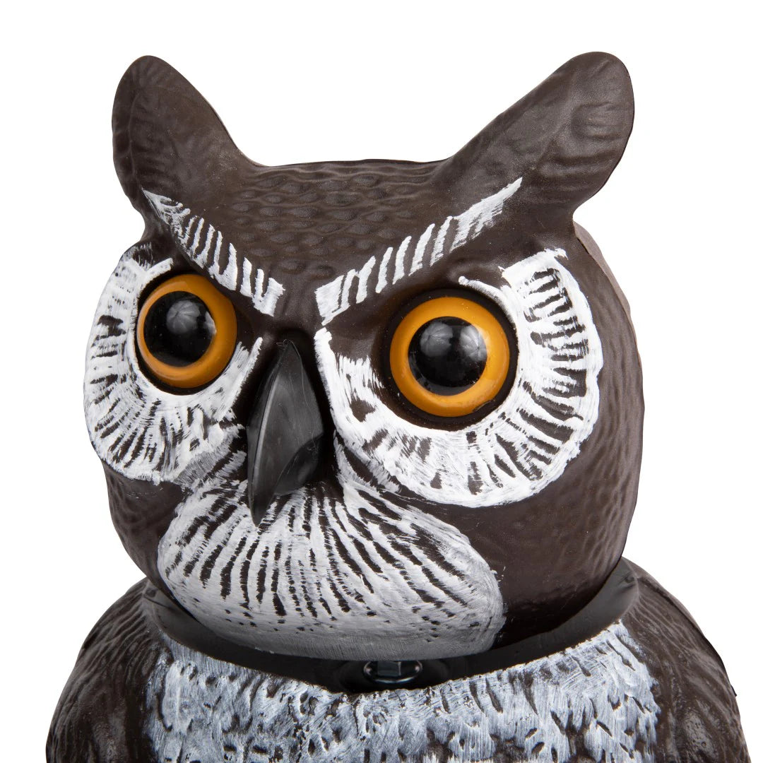 Dalen - Owl Great Horned Rotating Head