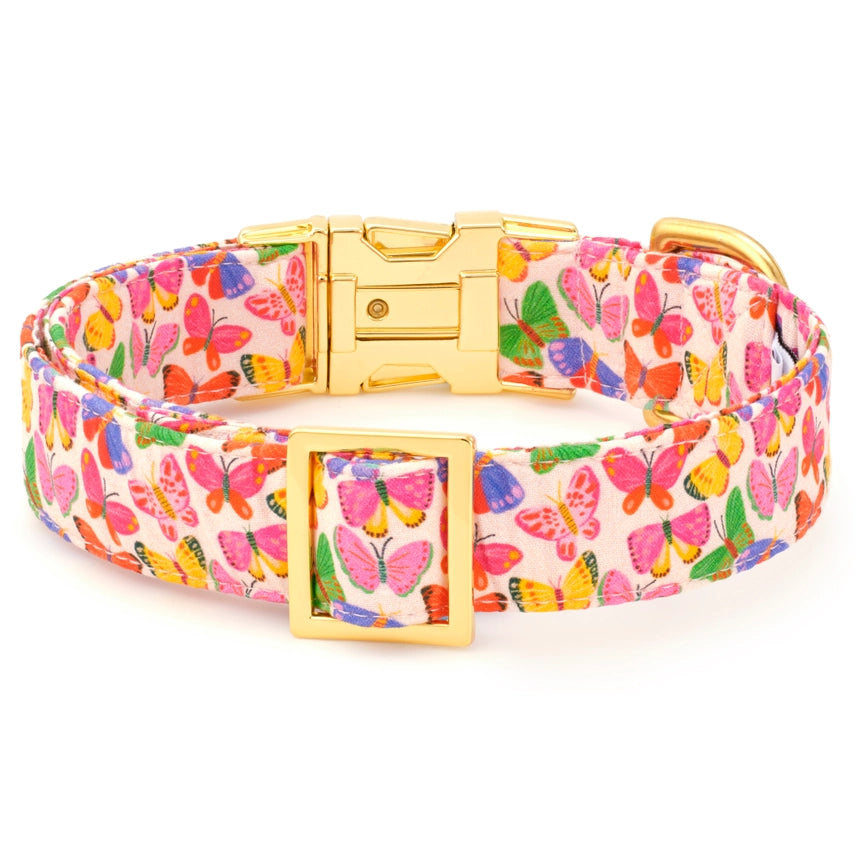 The Foggy Dog - Dog Collar Bright Butterflies