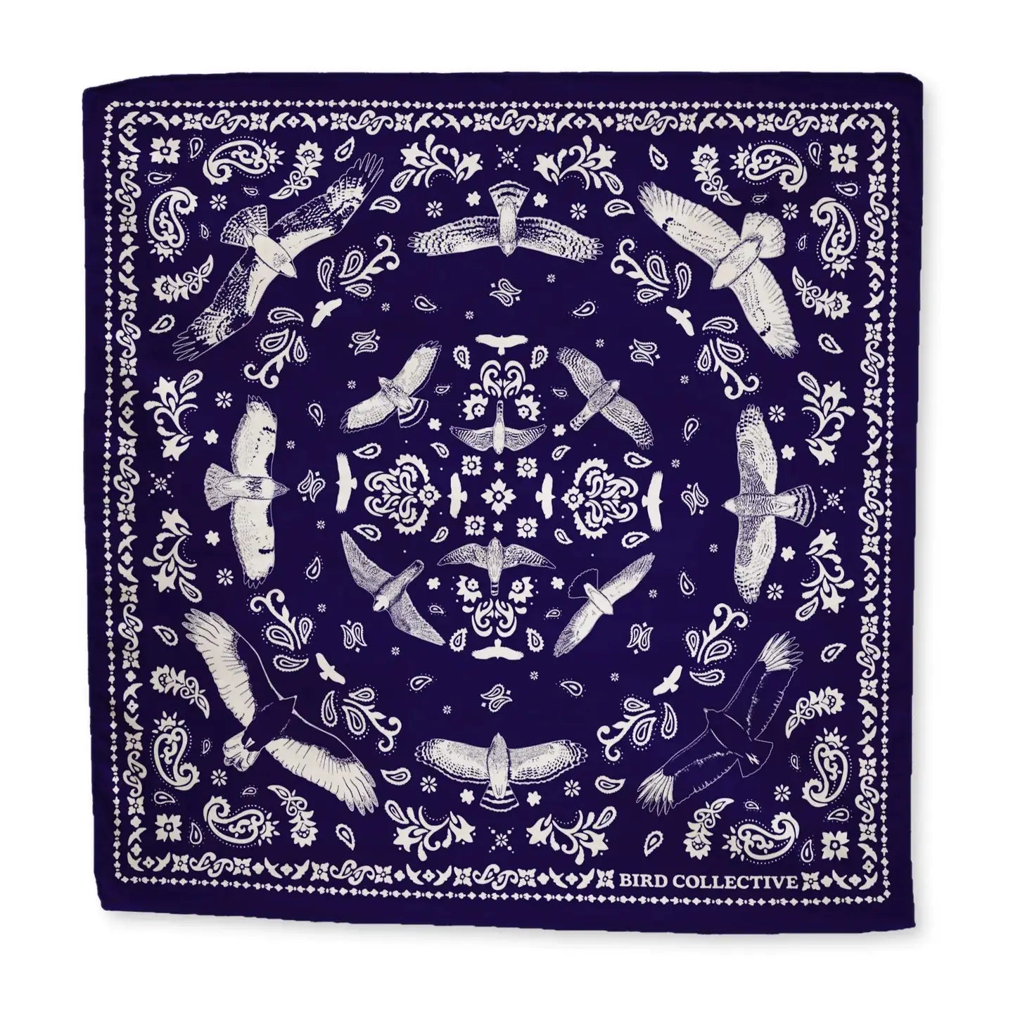 Bird Collective - Bandana Hawks In Flight