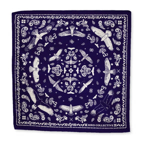 Bird Collective - Bandana Hawks In Flight