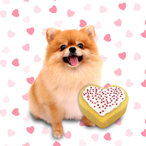 Puppy Cake - Puppy Love Cake Kit