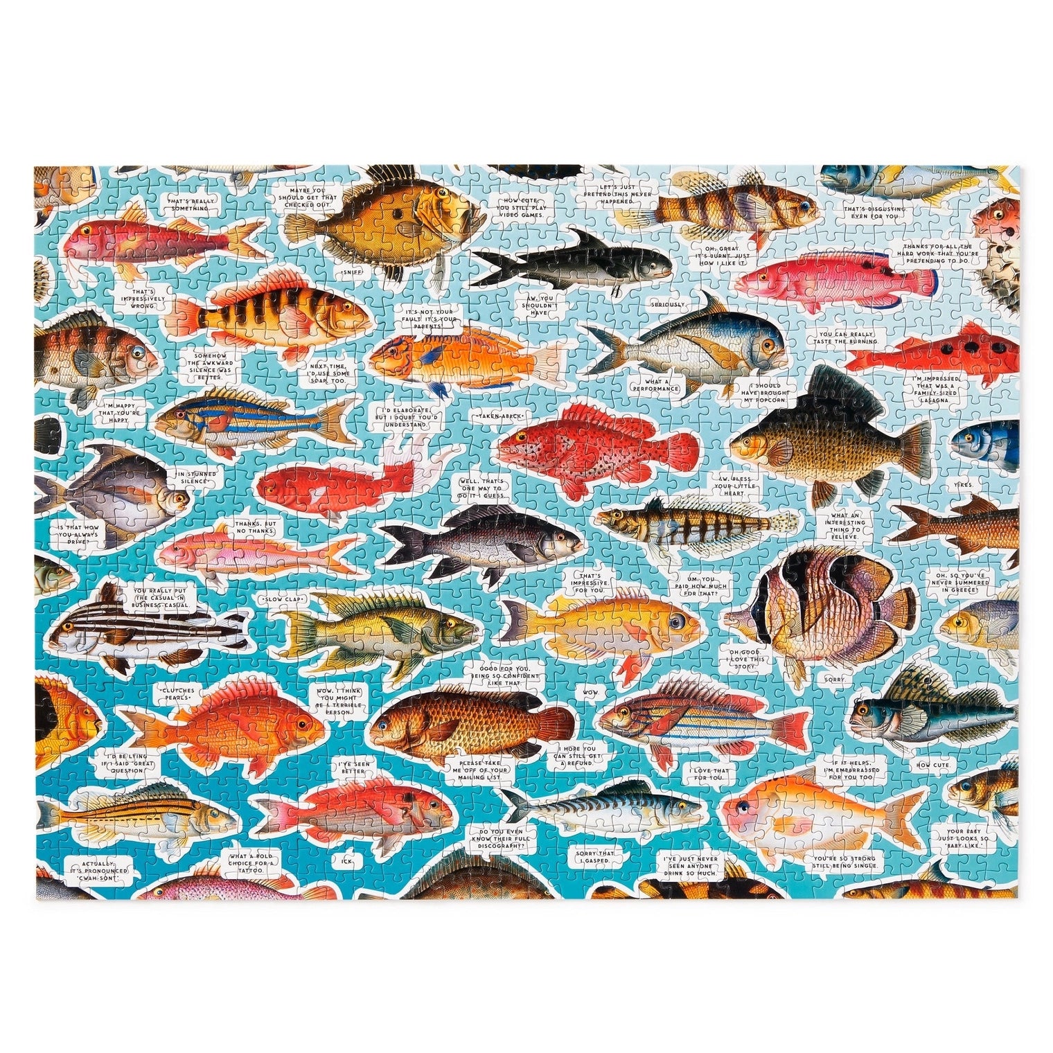 Chronicle-Hachette Book - Puzzle Brass Monkey Judgy Fish (1000 Piece)