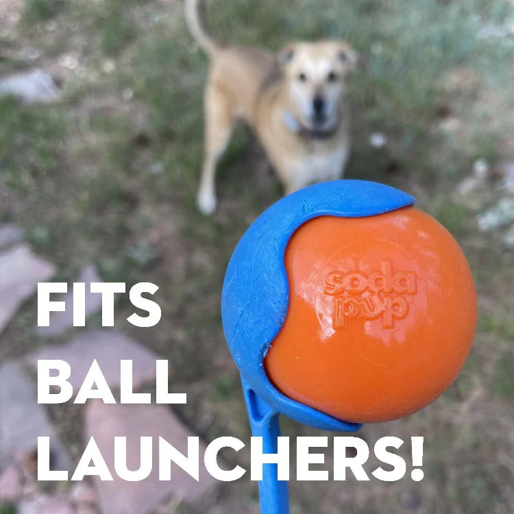 Ultra Durable PUP-X Squeak Ball