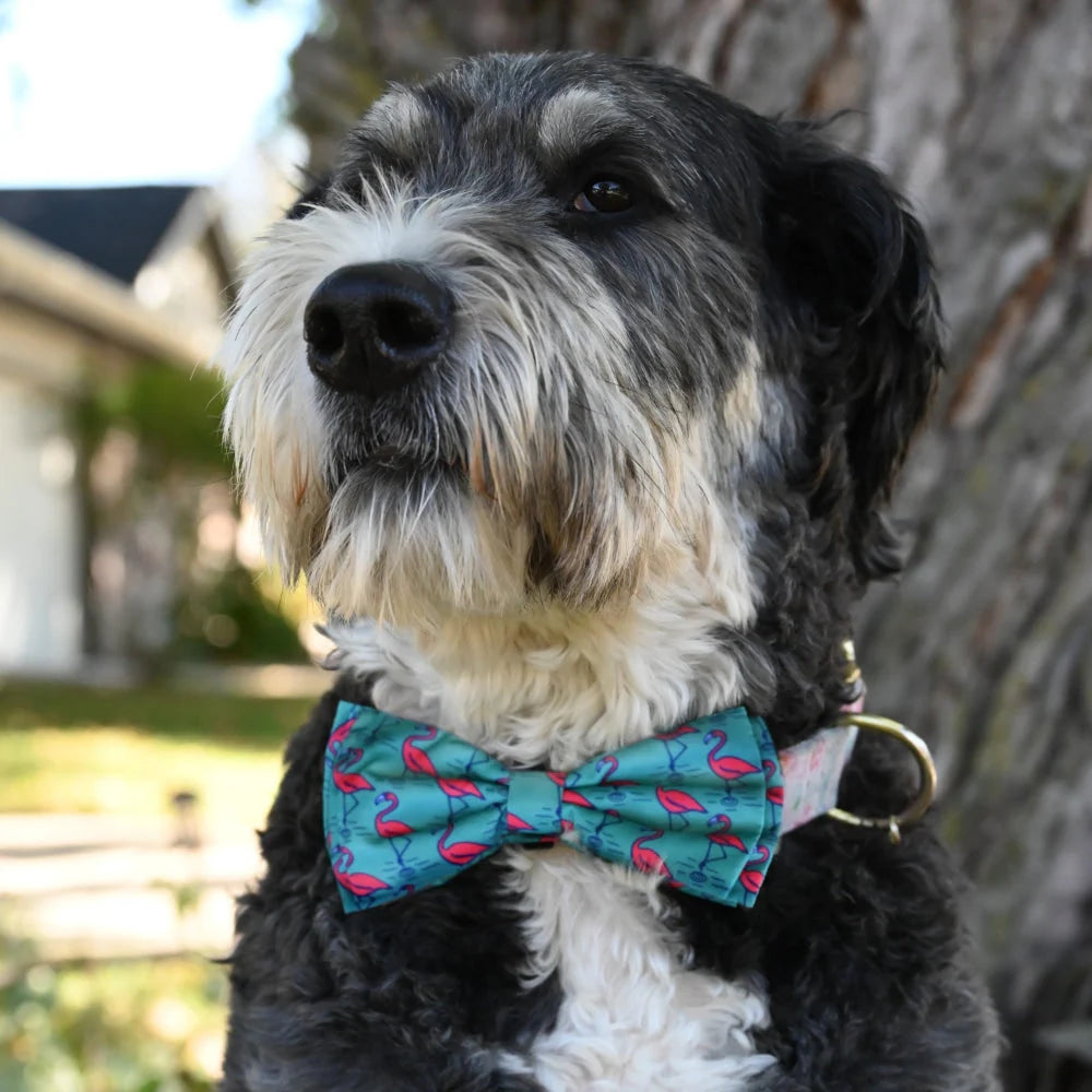 Huxley & Kent - Bow Tie Flamingo - Southern Agriculture 