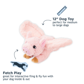 Tall Tails - Fling & Fetch Dog Toys