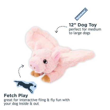 Tall Tails - Fling & Fetch Dog Toys