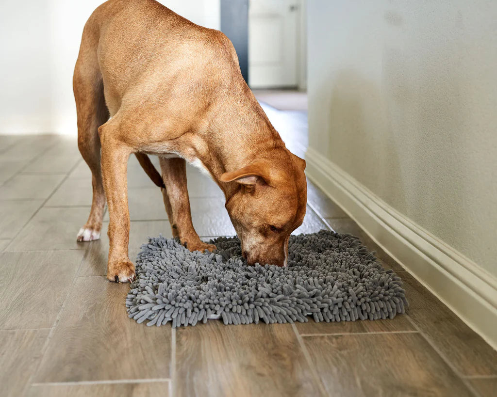 Pet Parents - Forager Mat Forest/Modern Grey