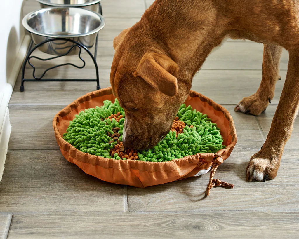 Pet Parents - Forager Bowl Meadow 9"