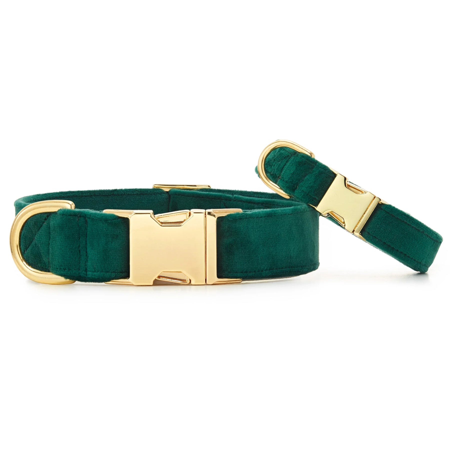 The Foggy Dog - Dog Collar Forest Green Velvet