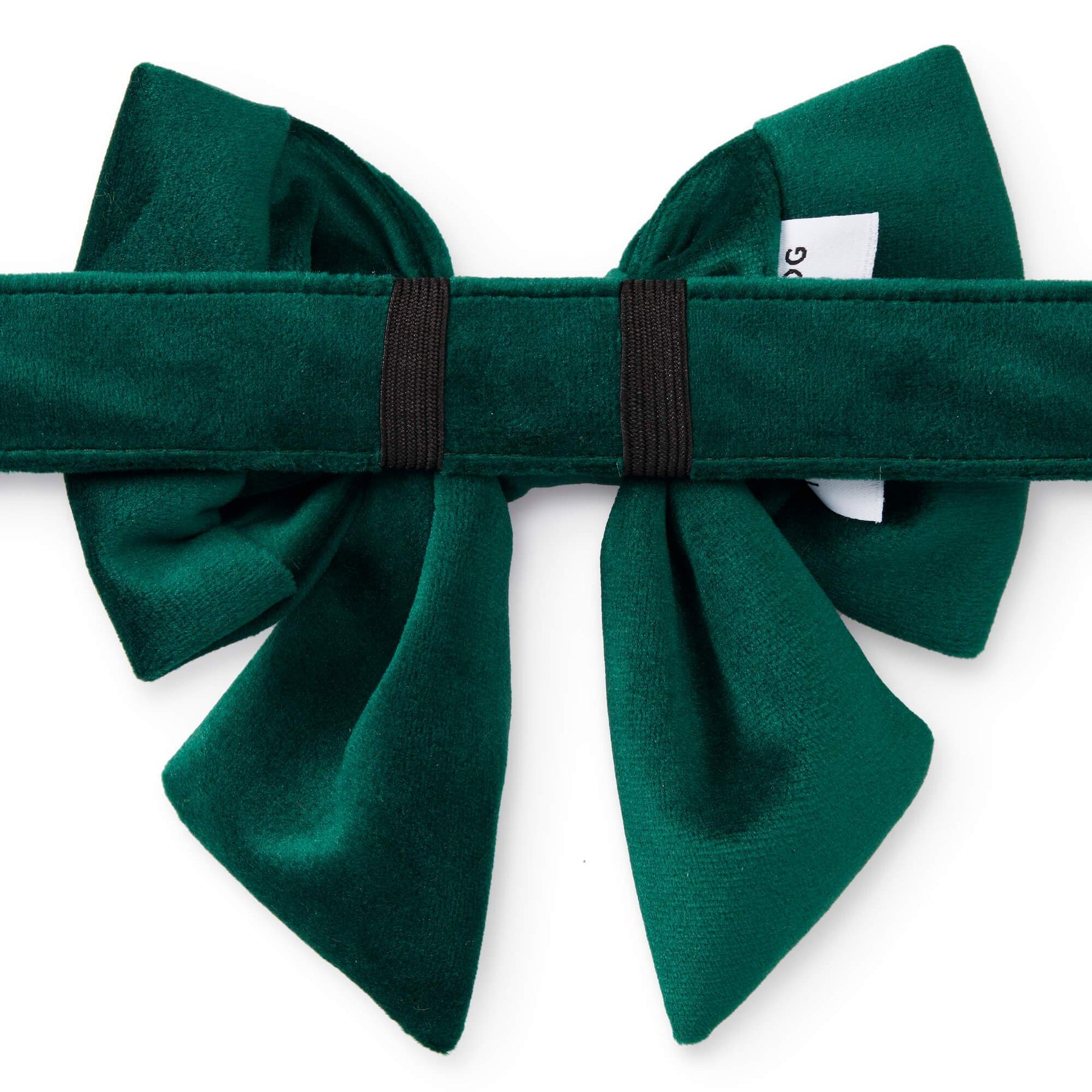 Lady Dog Bow Forest Green - Southern Agriculture 
