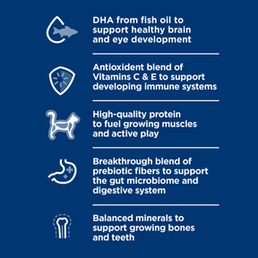 Hill's Science Diet - Kitten Ocean Fish & Brown Rice Cat Food Dry - Southern Agriculture 
