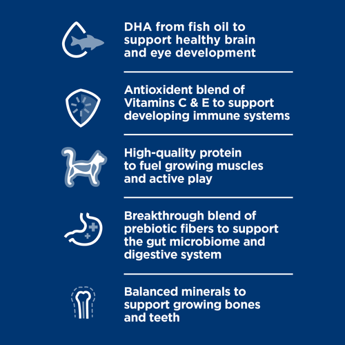 Hill's Science Diet - Kitten Ocean Fish & Brown Rice Cat Food Dry - Southern Agriculture 