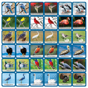 MasterPieces - Audubon - Bird Matching Game