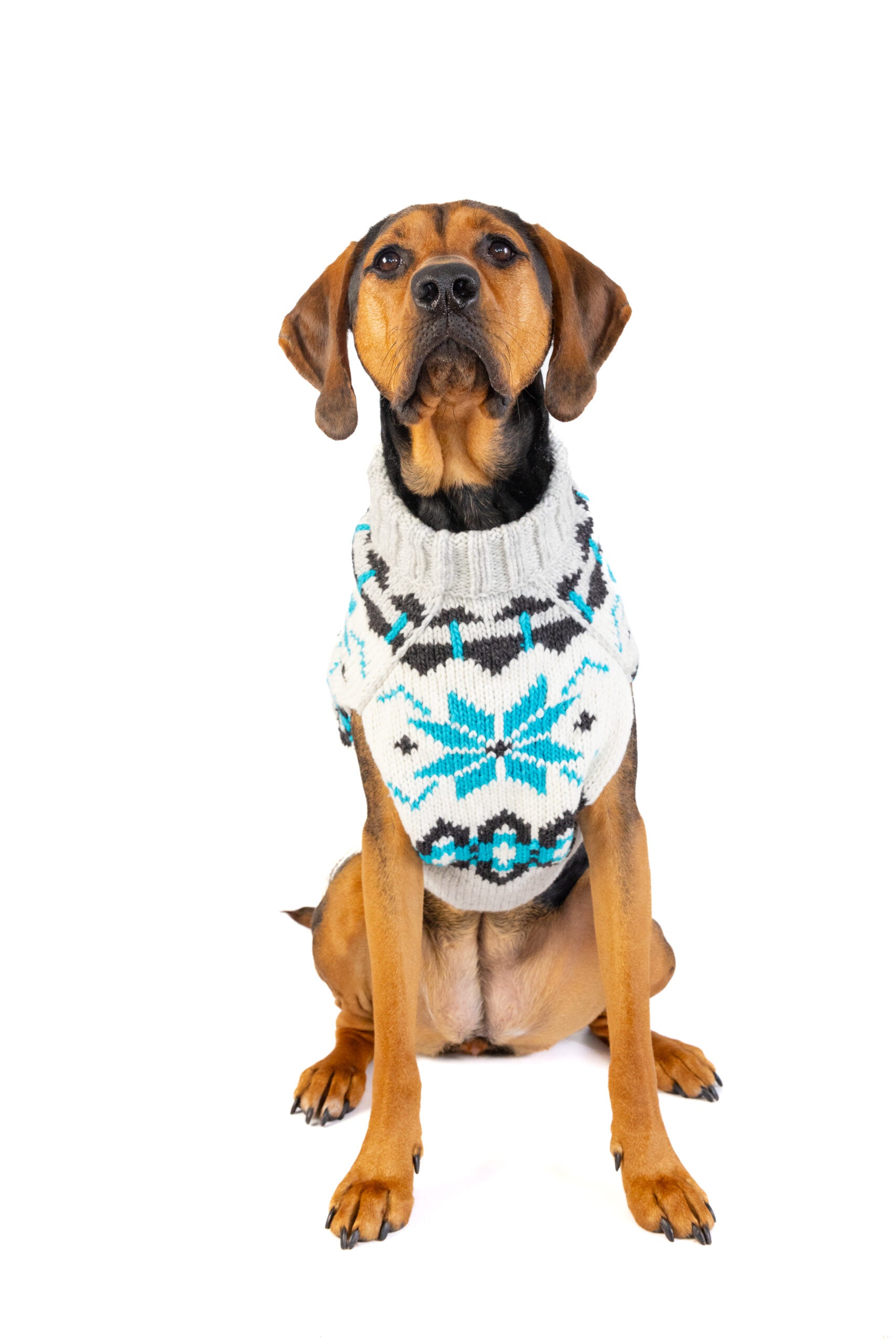 Chilly Dog - Dog Sweater Frost