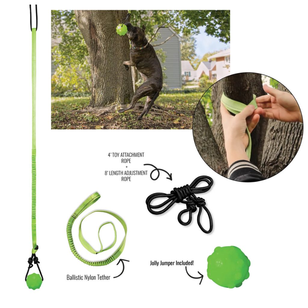 Jolly Ball - Tree Tugger Dog Toy