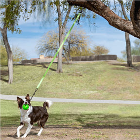 Jolly Ball - Tree Tugger Dog Toy