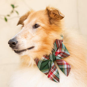 Foggy Dog - Lady Dog Bow Holly Jolly - Southern Agriculture 