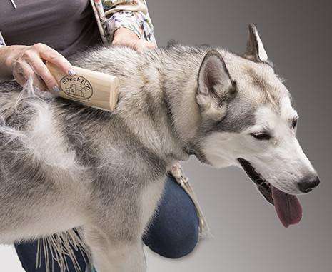 SleekEZ Dog Brush