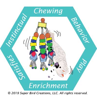 Super Bird Creations - Bagel Buddy Bird Toy