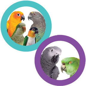 Super Bird Creations - Cardboard Treat Block Bird Toy