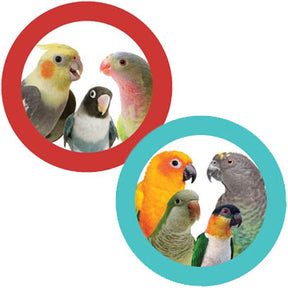 Super Bird Creations - Cardboard Treat Block Bird Toy