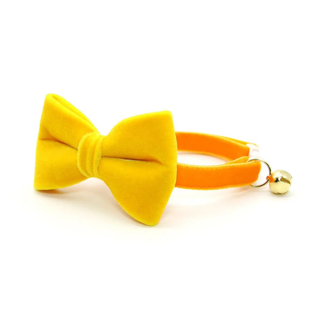 Made by Cleo - Bow Tie Velvet
