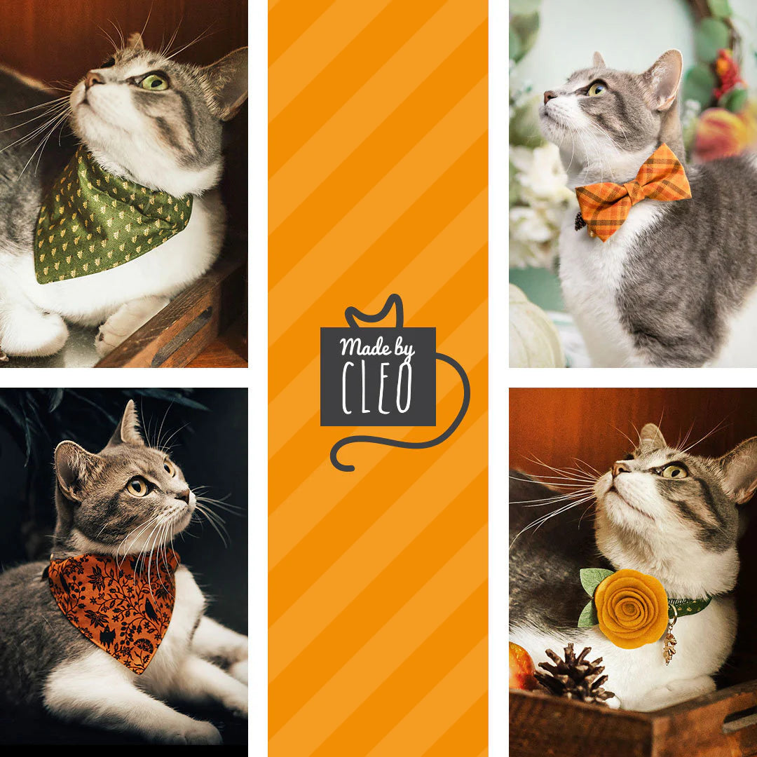 Made by Cleo - Velvet Breakaway Cat Collar