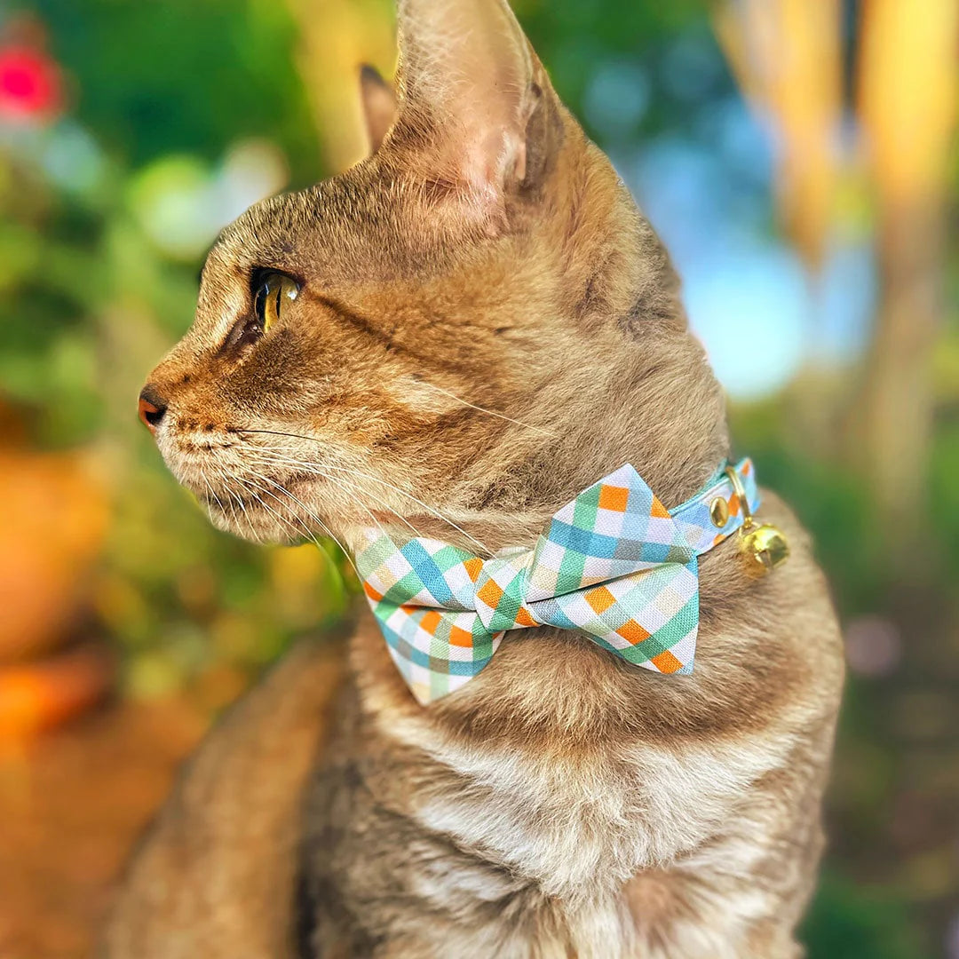 Made by Cleo - Cat Collar "Seashore" Breakaway with Gold