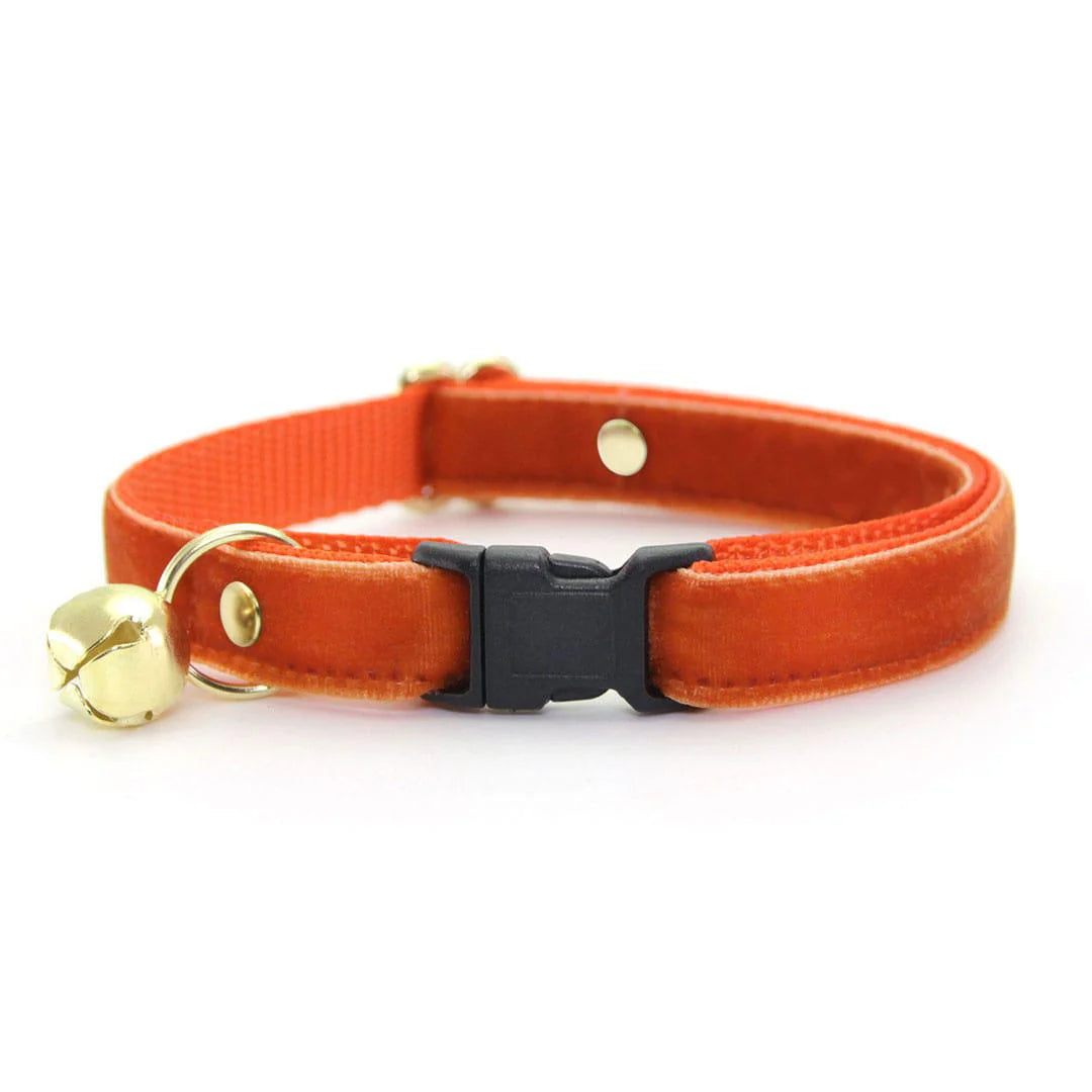 Made by Cleo - Cat Collar "Velvet-Roasted	Pumpkin" & Bunny Ear Bow Set