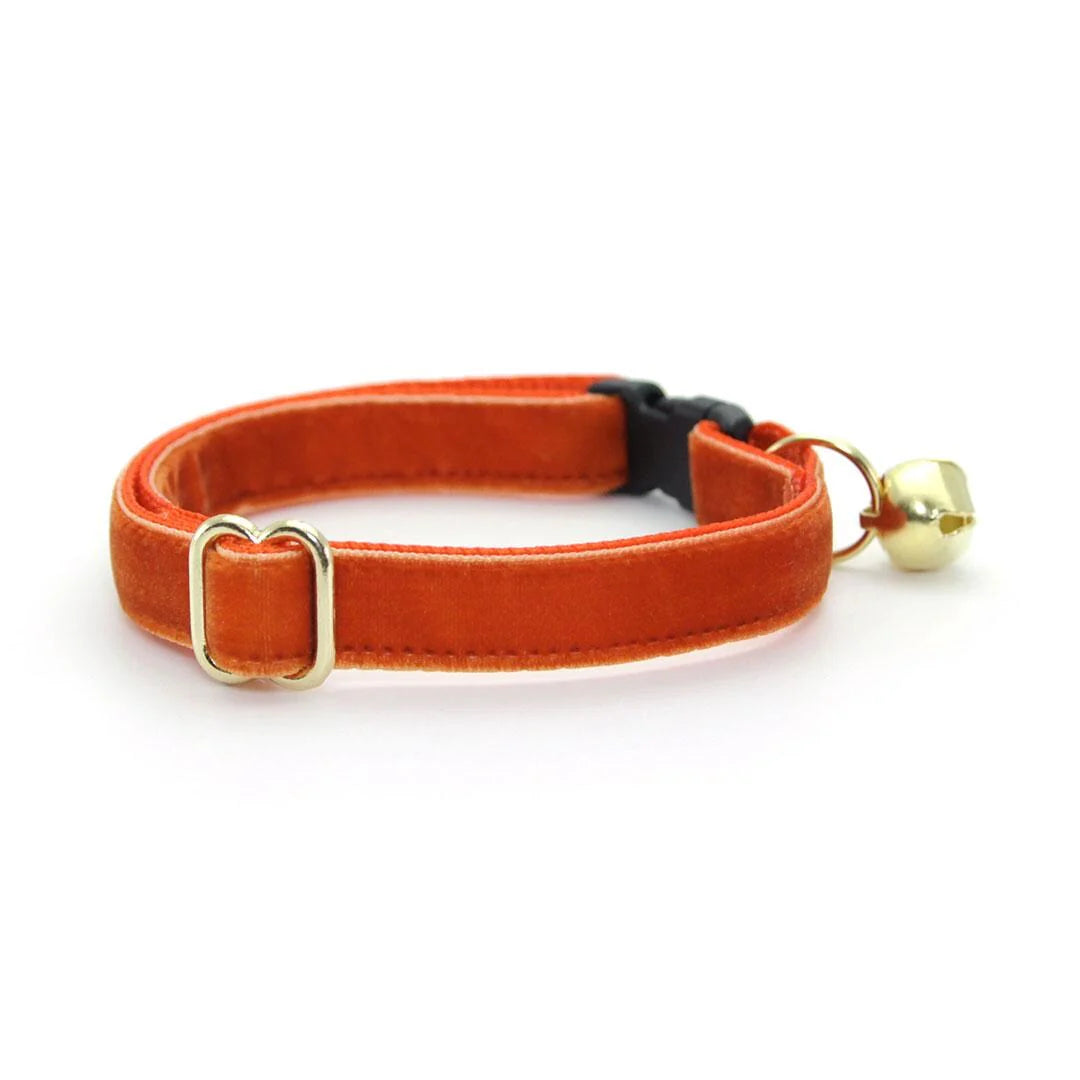 Made by Cleo - Cat Collar "Velvet-Roasted	Pumpkin" & Bunny Ear Bow Set