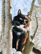 Travel Cat - Harness & Leash Set-"The Emerald Explorer"