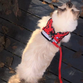 Travel Cat - Harness & Leash Set - "Buffalo Plaid"